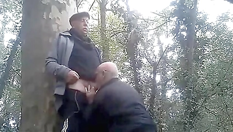 Shake that girl fucked on a hawt ass